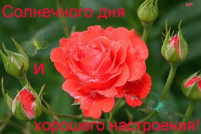 8c0a61d4883f.jpg