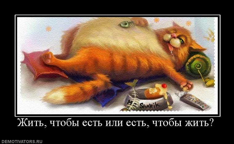 262856_zhit-chtobyi-est-ili-est-chtobyi-zhit.jpg