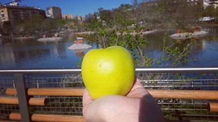 0505155.jpg