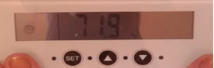805.jpg