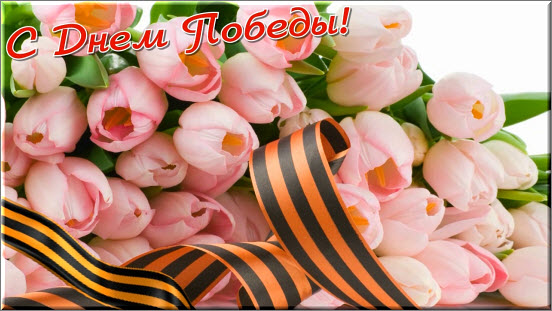 1367736802_futazh-video-rolik-k-9-maya-ozvuchen.jpg