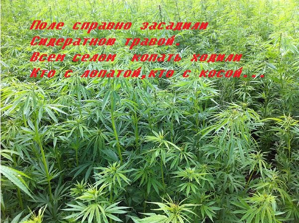 Снимок.JPG