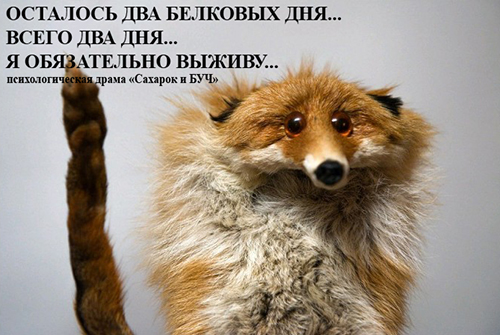 этобылозбс.jpg