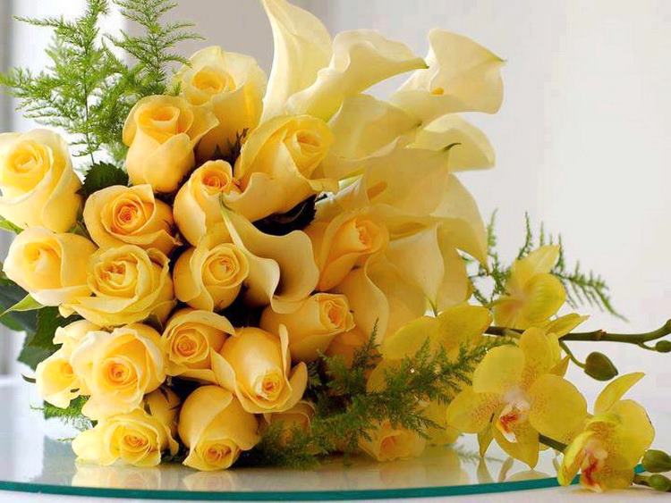 roses_2.jpg
