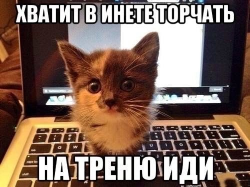 dBElMRMBt08.jpg
