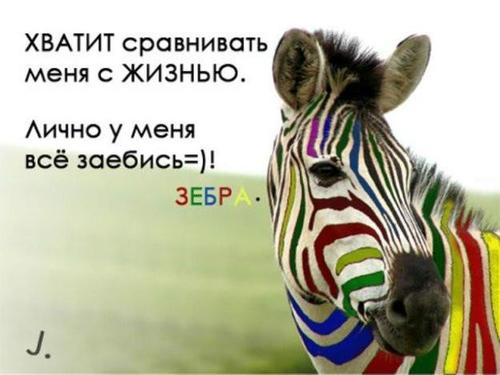 586262_971_1842536604.jpg