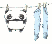 tarepandaonwashingline.gif