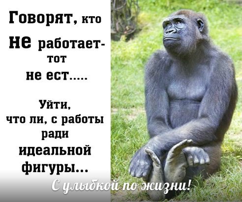 Идеальная фигура.jpg