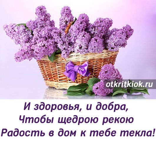 сирень.jpg