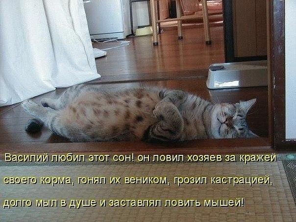 Про Василия.jpg