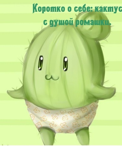 Кактус с душой ромашки.jpg