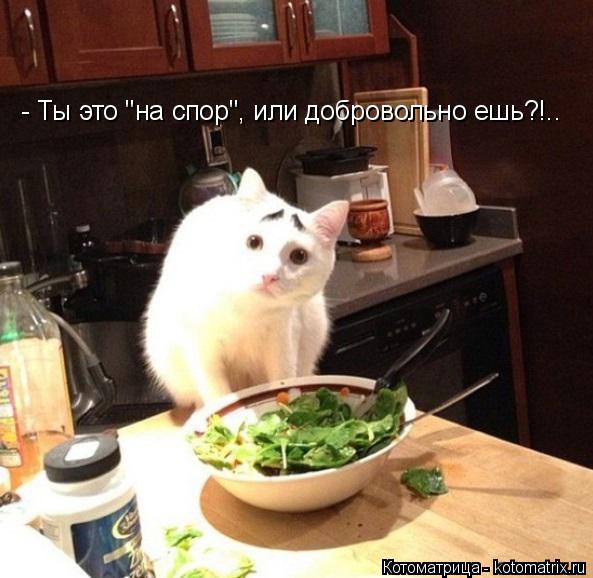 спор.jpg