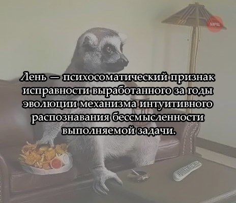 лень.jpg