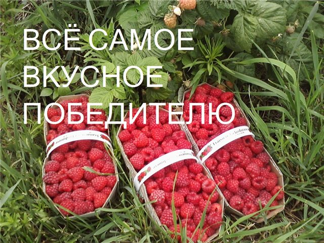Безымянный.png