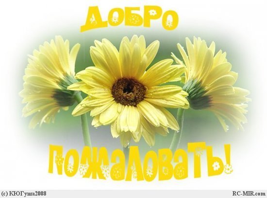 добро пожаловать.jpg