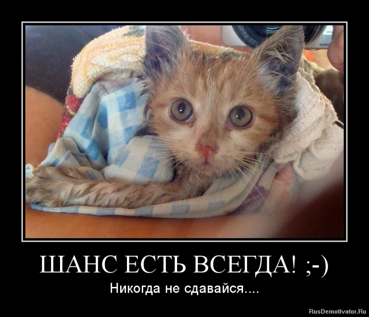 PicsArt_1433068889387.png