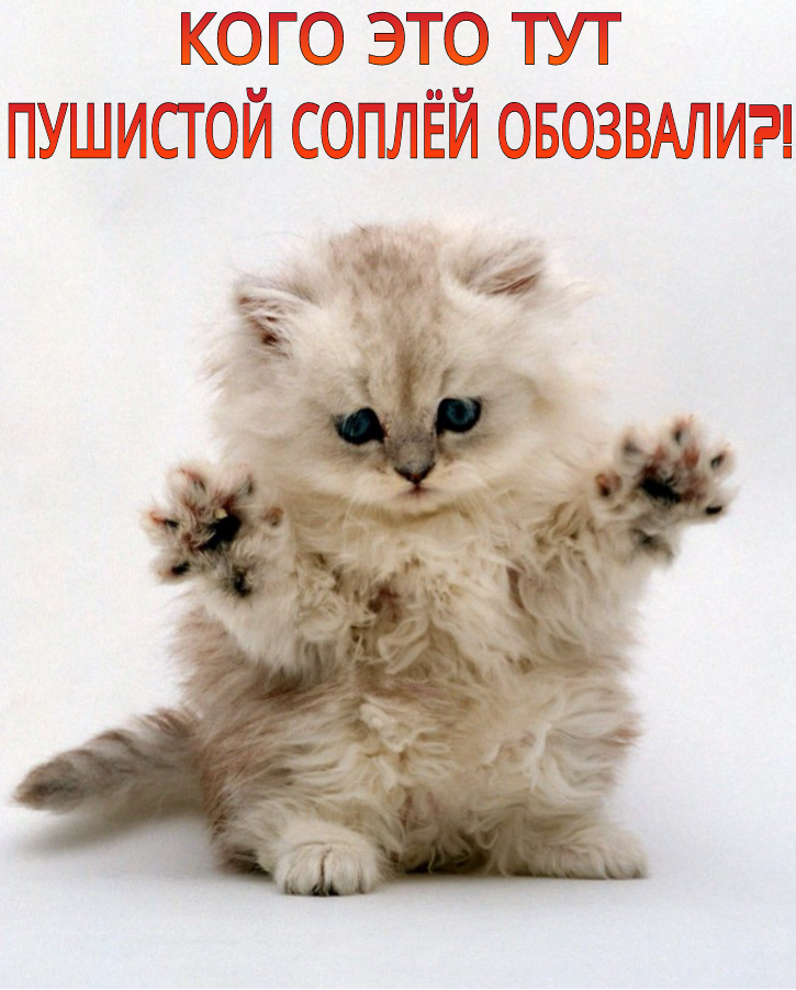 PicsArt_1433155012239.png