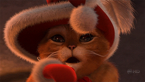 котик с помпоном.gif
