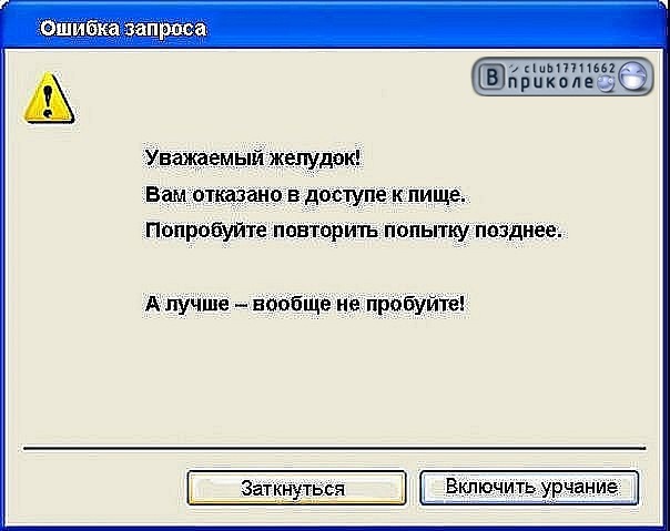 желудок.jpg