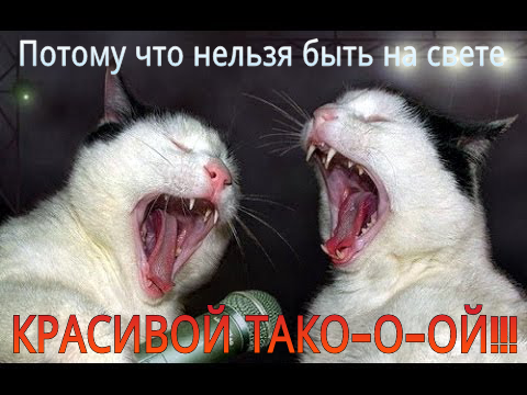 Вокальный драйв.png