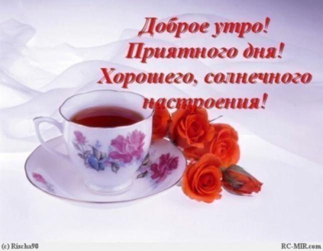 утро.jpg