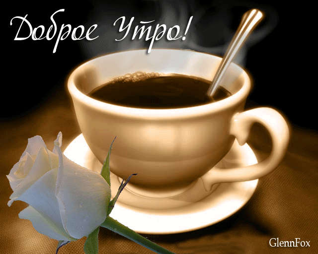 утро.gif