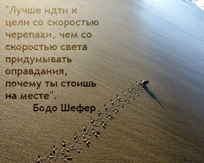 9-sheffer.jpg