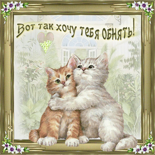 _yapfiles.ru.gif