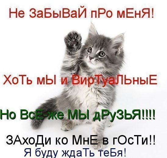 60640342_ya_zhdu_tebya[1].jpg