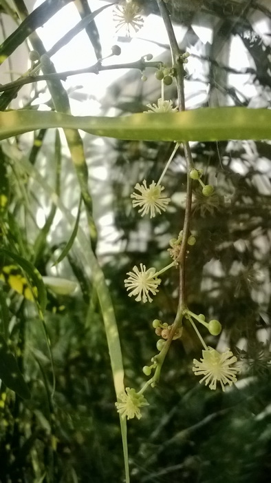 WP_20150628_006-1.jpg