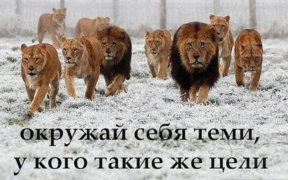 2015-07-04 08-02-05 Скриншот экрана.png