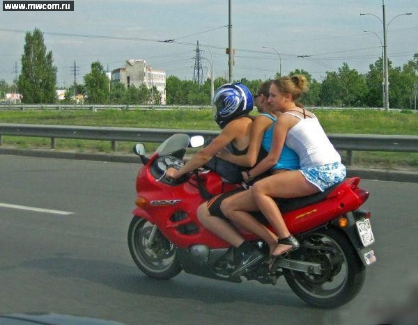 погнали.jpg