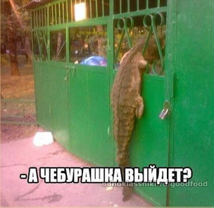 2015-07-05 08-46-59 Скриншот экрана.png