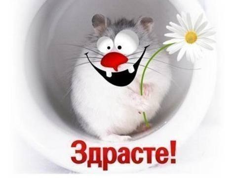 6ae0d428eb5ec120966470d832e890af_0727e229e1156565fd0c4af4344a018d_135269185774_800px.jpg