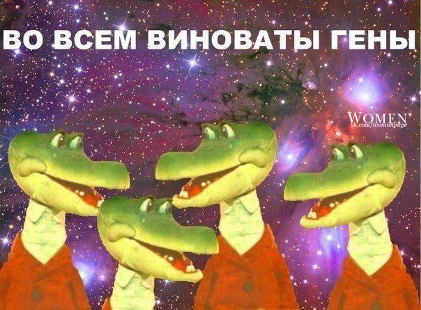 fkqGJ9hS040.jpg