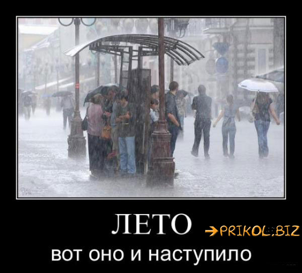 лето.jpg