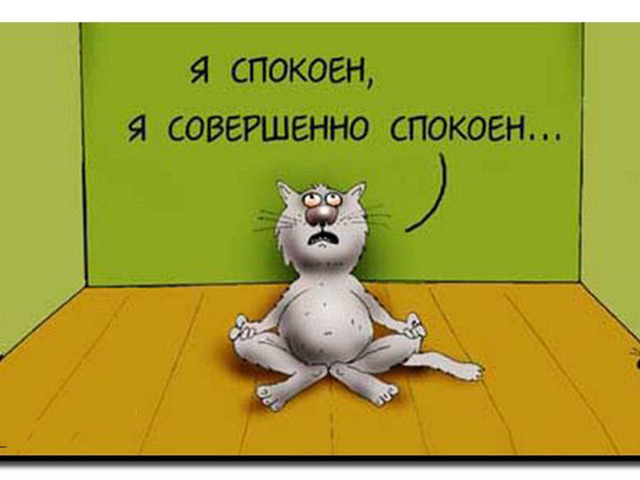 228495_1859.jpeg