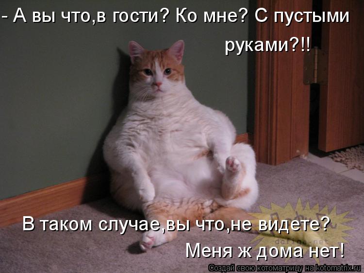 кино17.jpg