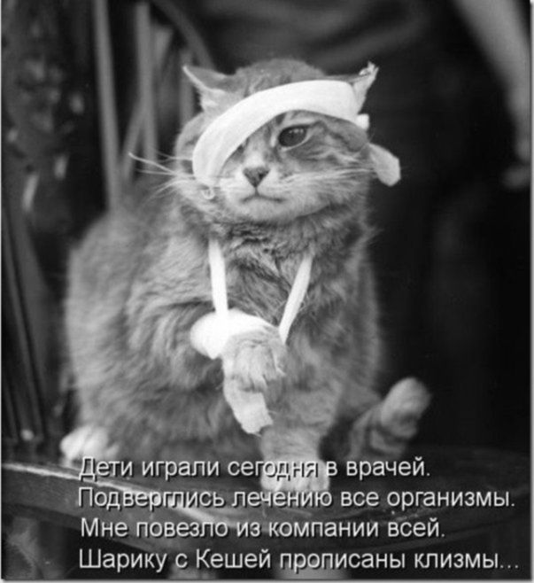 кино14.jpg