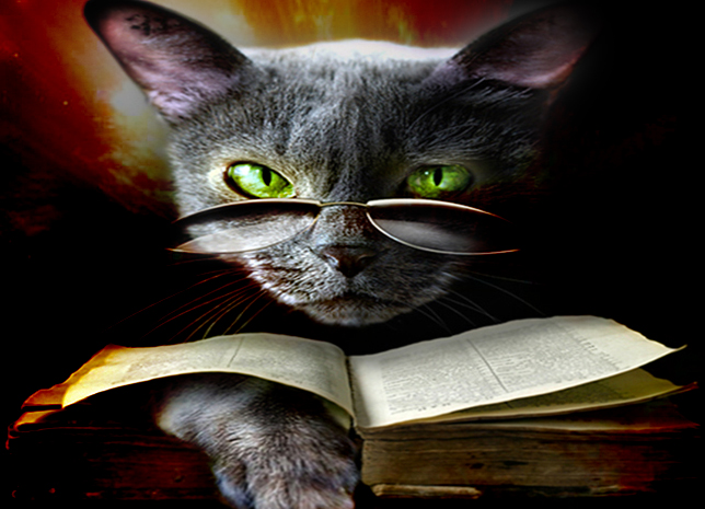 magic-cat.jpg