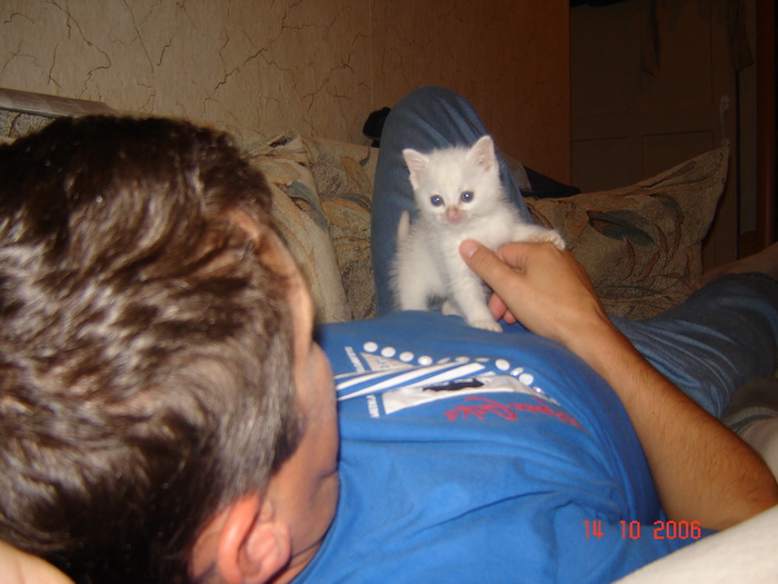 Шарик8.jpg