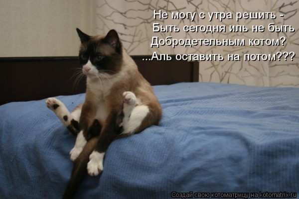 417392_401289.jpg