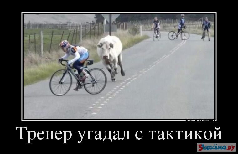 тренер.jpg