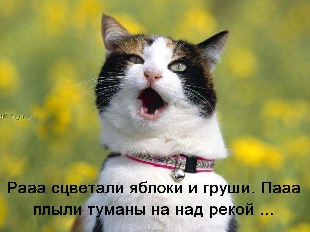 49543521_prishiblennoe.JPG