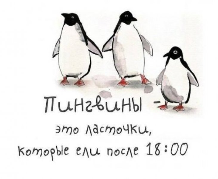 91.jpg