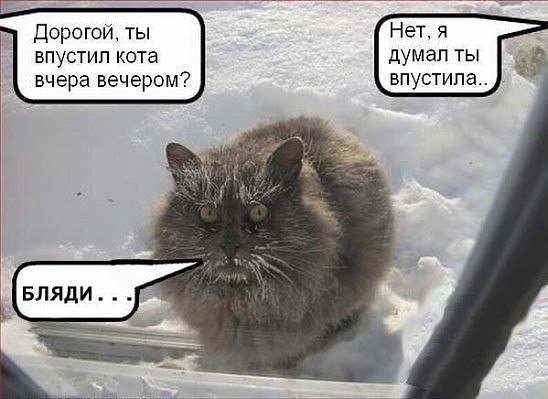 image (7).jpg