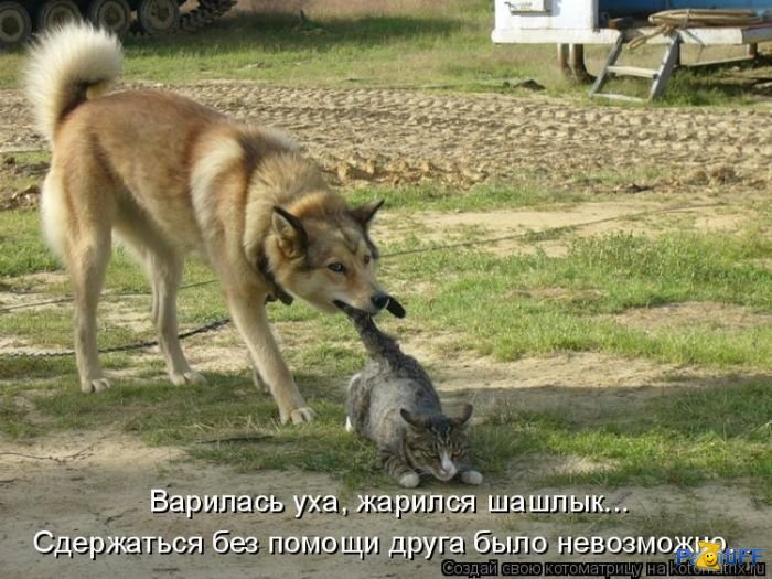 друг.jpg