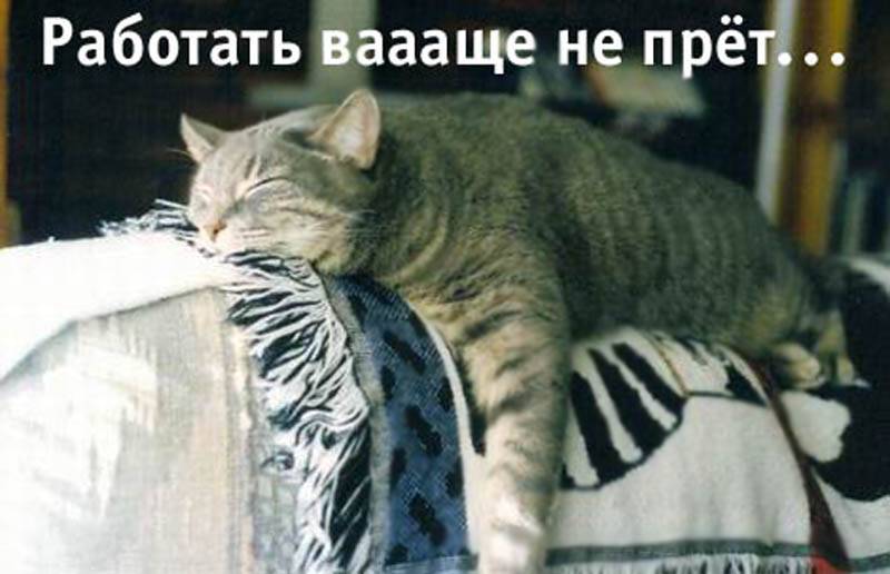 79bb7b91-5423-4c0d-93ac-7631f2c51153.jpg