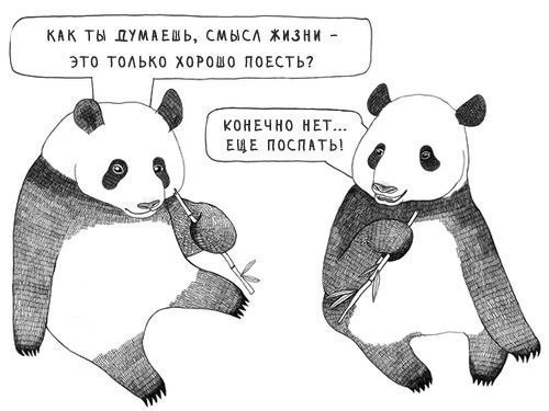 PUsxek1bCxA.jpg