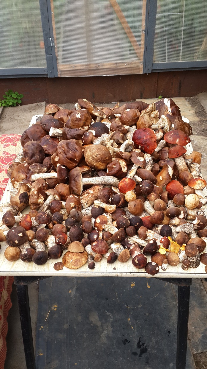 20150913_121027.jpg